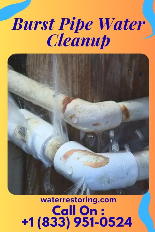 Burst Pipe Water Cleanup in Dallas, WI