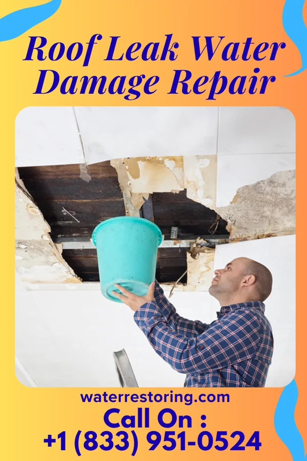 Roof Leak Water Damage Repair in Dallas, WI
