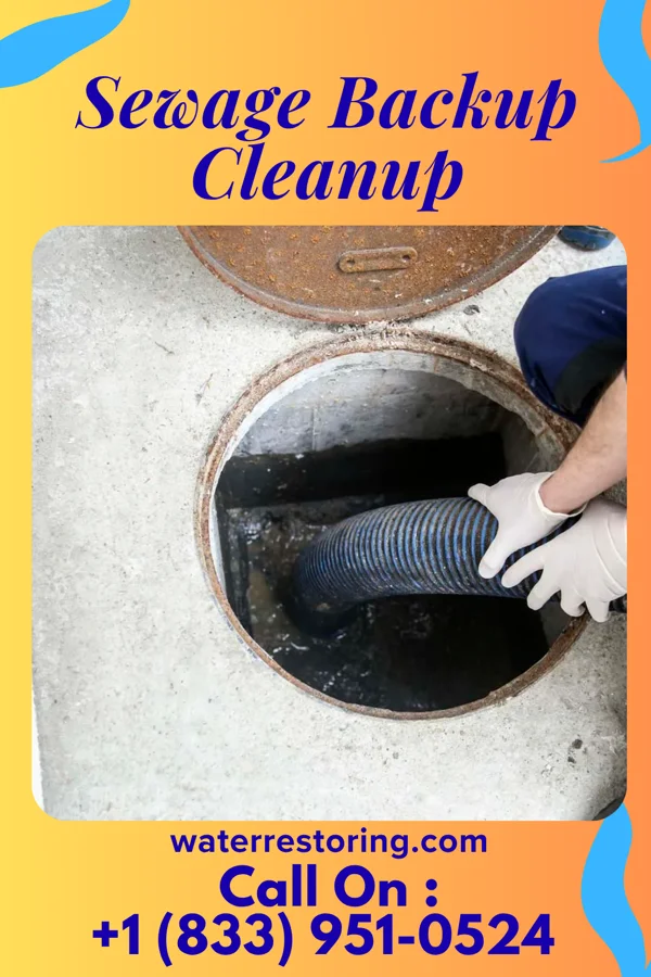 Sewage Backup Cleanup in Dallas, WI